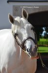 tapit 6412 oct12.jpg