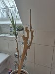 20260221_120412.jpg