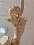 20260221_120417.jpg
