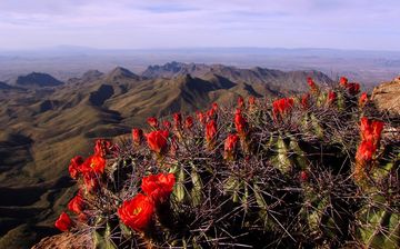 196729-Big-Bend-National-Park.jpg