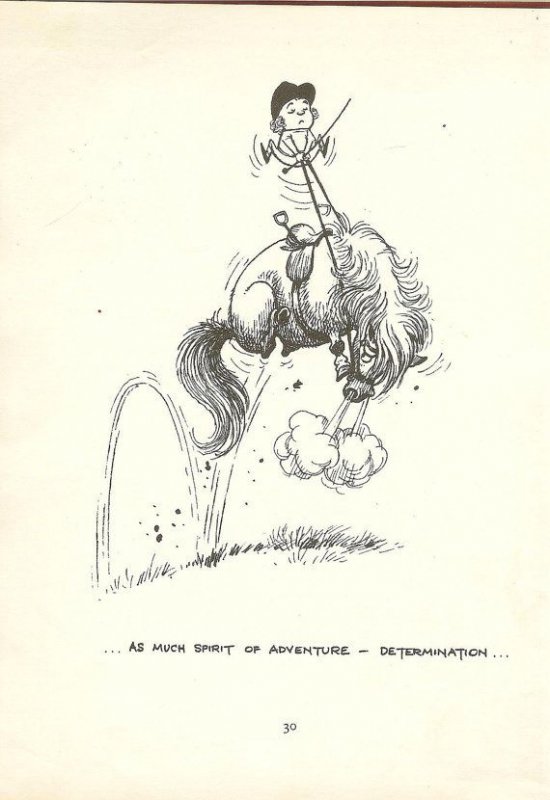 b9dddb482b965877feea6e84b0363289--thelwell-ponies-cartoons-capri.jpg