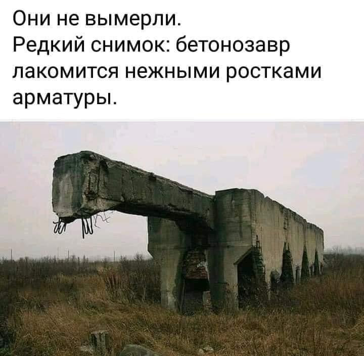 бетонозавр.jpg