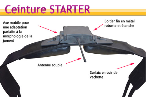 ceinture_starter.jpg