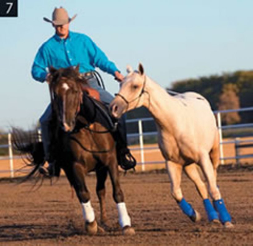 clinton-anderson-ponying-power-promo-image.jpg