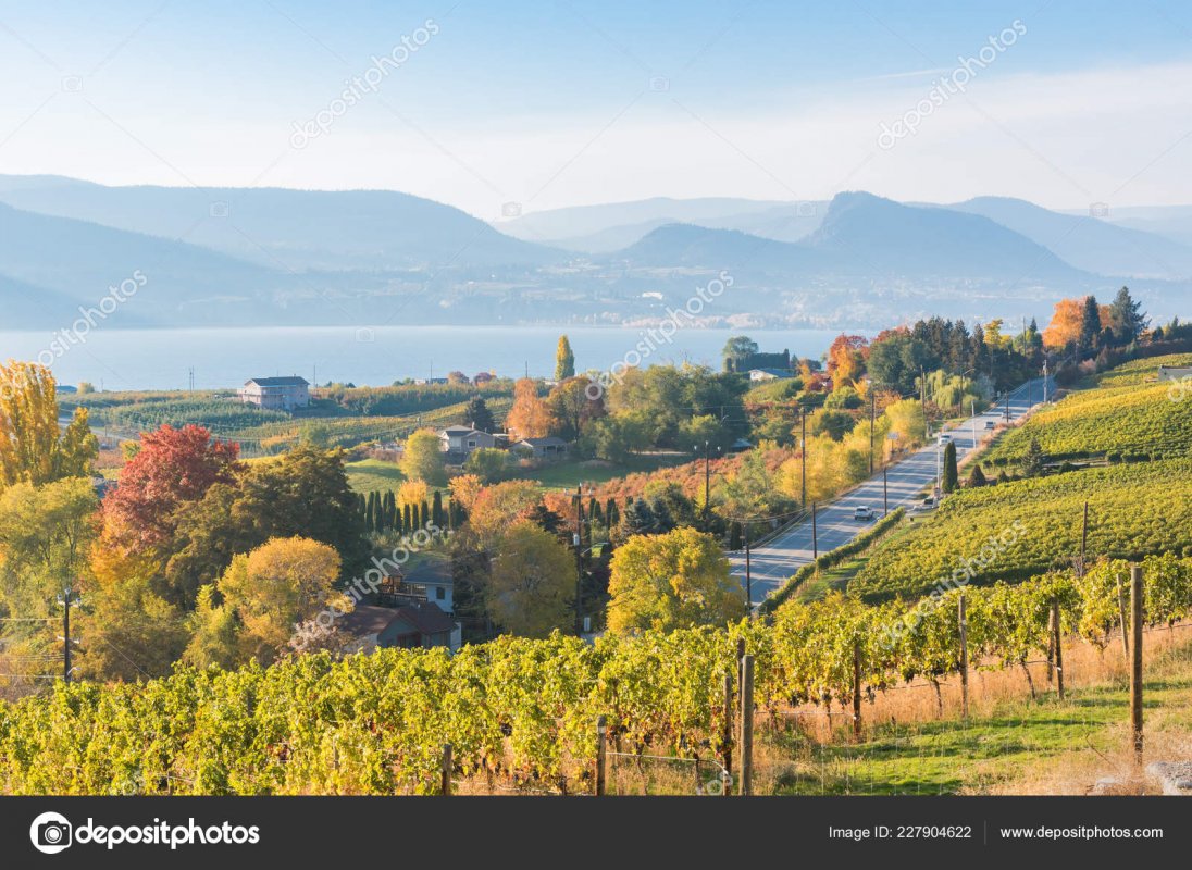 depositphotos_227904622-stock-photo-view-vineyards-naramata-road-naramata.jpg