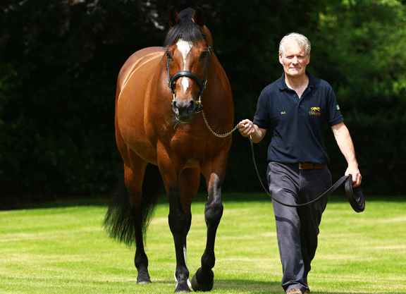 Galileo-at-stables13_Coolmore.gif