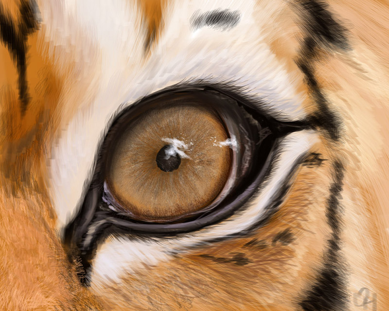 глаз тигра копия.jpg