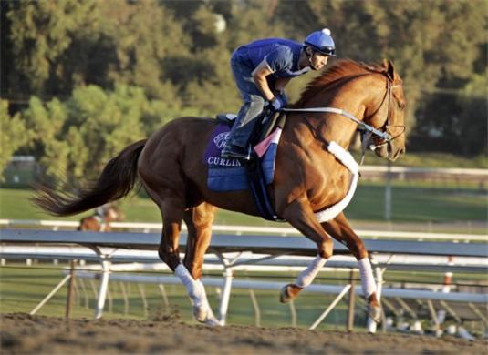 Horse-Racing-Curlin-the-highest-North-American-earner-Thoroughbred.jpg