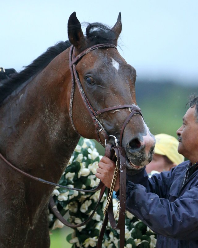 OMAHA BEACH  - The Arkansas Derby G1 - 83rd Running - 04-13-19 - R11 - OP - Post Race 02.jpg