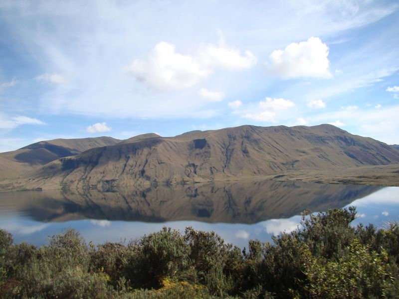 parque_nacional_llanganates__areas_protegidas_2011125020432-1200x800.jpg