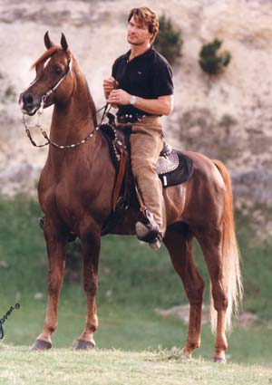 Patrick Swayze Arab Horses.jpg