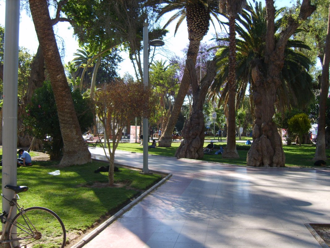 Plaza_de_Armas_de_Copiapó_-_panoramio.jpg