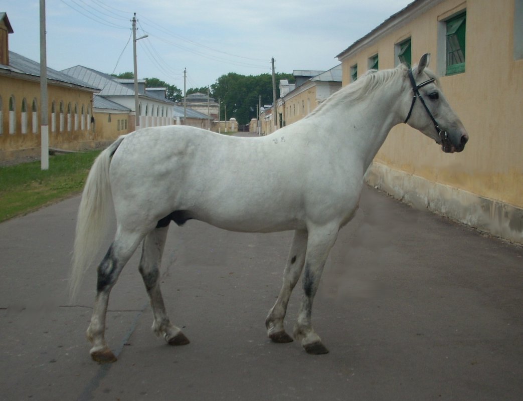 Попрёк-16-лет.jpg