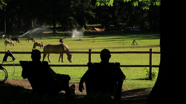 ranch-shadows-and-horses.jpg