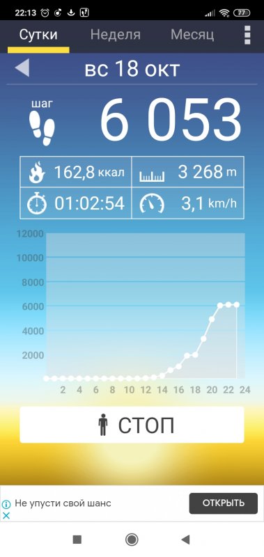 Screenshot_2020-10-18-22-13-15-383_com.tayu.tau.pedometer.jpg