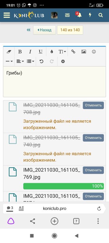 Screenshot_2021-10-30-19-01-23-281_com.yandex.browser.jpg