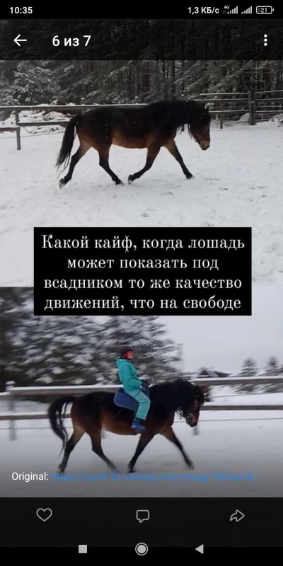 Screenshot_2022-02-02-10-35-37-015_com.vkontakte.android.jpg