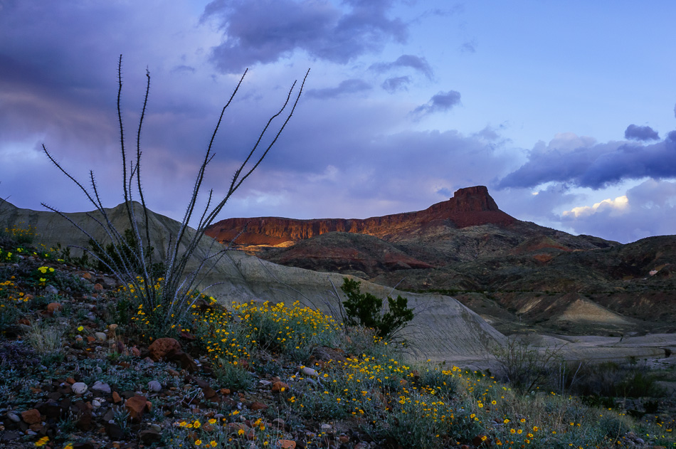 texas_20150304__DSC0927-Edit.jpg