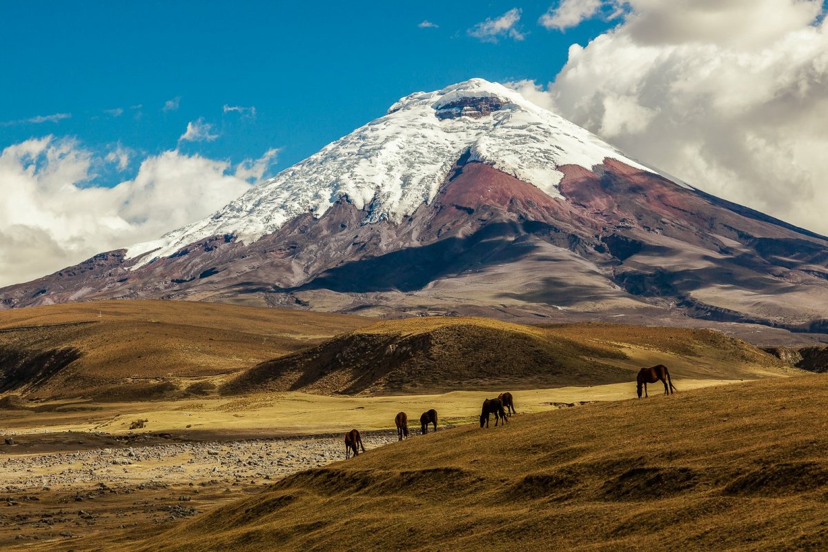 things-to-do-in-ecuador-cotopaxi.jpg