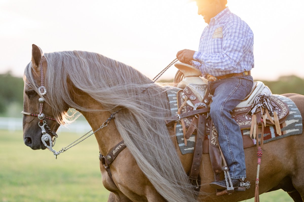 Tomas-Garcilazo-and-his-family-with-Latigo-Dun-It-Hollywood-AQHA-stallion-in-Pilot-Point-Texas...jpg