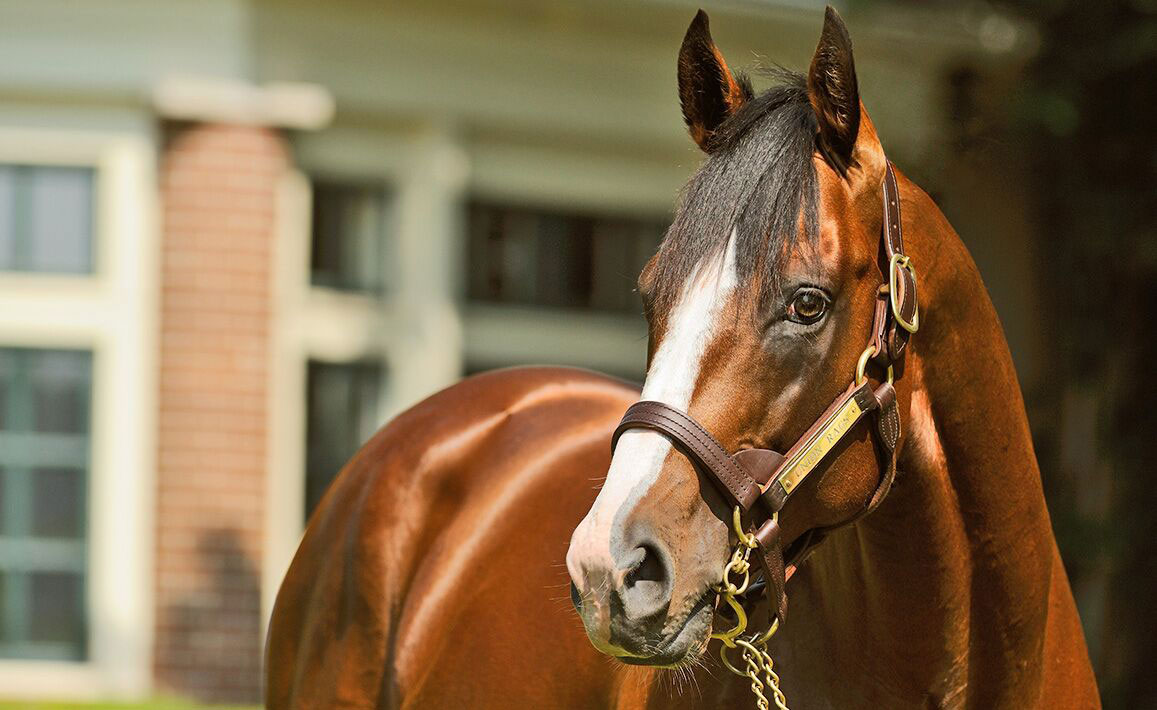 UnionRags-Gallery_Hero-5-optimized_0.jpg