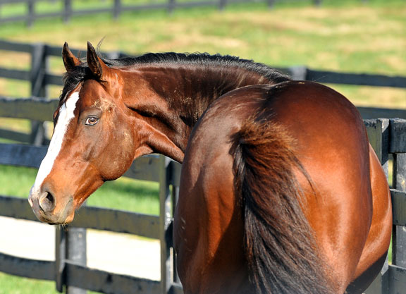 UnionRags_7074_SarahAndrew.jpg